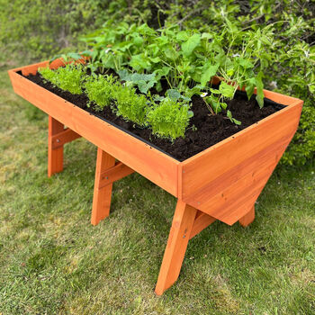 Large Raised Vegetable Planter With Three Liners, 2 of 11