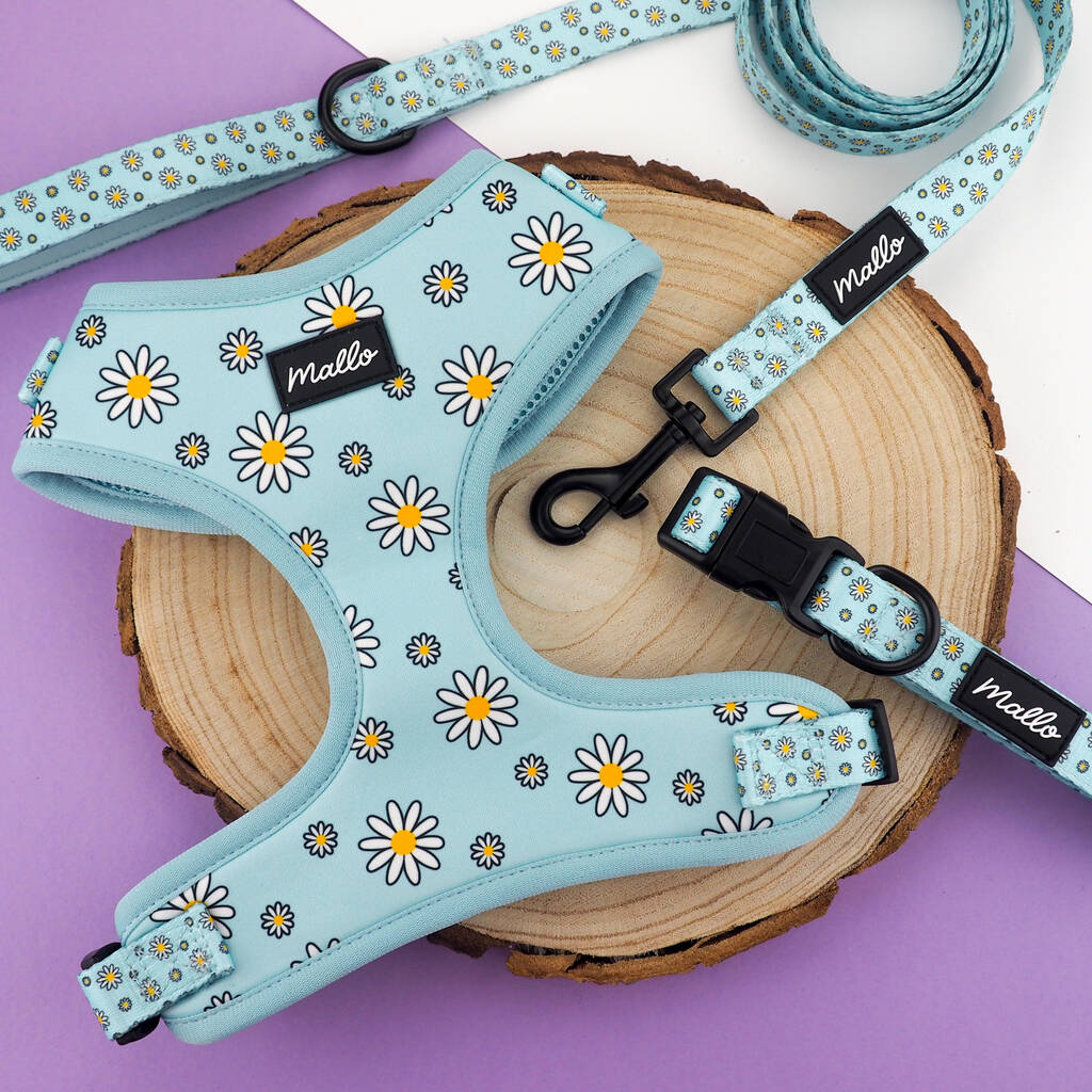 Daisy Dog Harness, Collar And Lead Set By Mallo