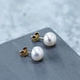 Gold Pearl Stud Earrings, thumbnail 2 of 5