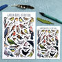 Garden Birds Of Britain Illustrated Postcard, thumbnail 2 of 11