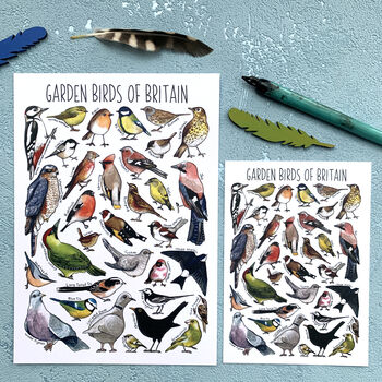 Garden Birds Of Britain Illustrated Postcard, 2 of 11