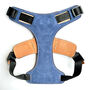 Blue Leather Dog Harness, thumbnail 6 of 6