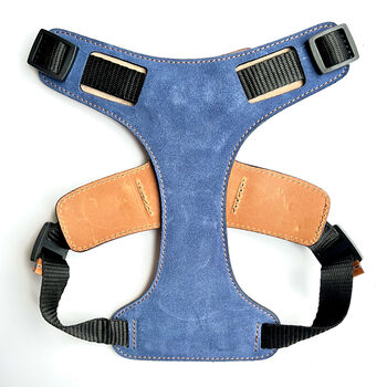 Blue Leather Dog Harness, 6 of 6
