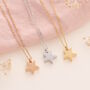 Star Pet Cremation Urn Necklace, thumbnail 1 of 3