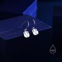 Guinea Pig Drop Hook Earrings In Sterling Silver, thumbnail 1 of 11