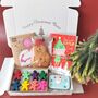 Special Little Girl Christmas Craft And Treats Gift Set, thumbnail 1 of 12