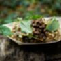 Foraging And Cookery Experience For Two People, thumbnail 3 of 3