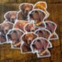 Dog Breed Stickers, thumbnail 11 of 12