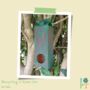 Children's Eco Activity Box: The Secret Life Of Birds, thumbnail 7 of 11