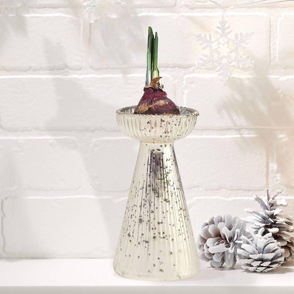 Hand Blown Antiqued Mercury Glass Forcing Vase By red berry apple