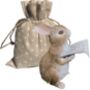 Rabbit With Book Fairy Garden Decoration In Gift Pouch, thumbnail 2 of 5