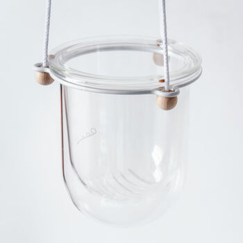 Orla, Hanging Glass Planter, Ideal For Orchids, 6 of 12