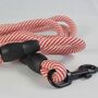 Red And White Stripped Rope Dog Lead, thumbnail 3 of 12