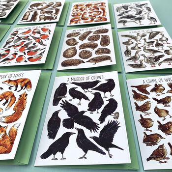 Wildlife Collective Nouns Greetings Card Pack, 3 of 11