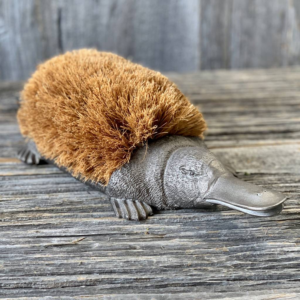 walking boot brush
