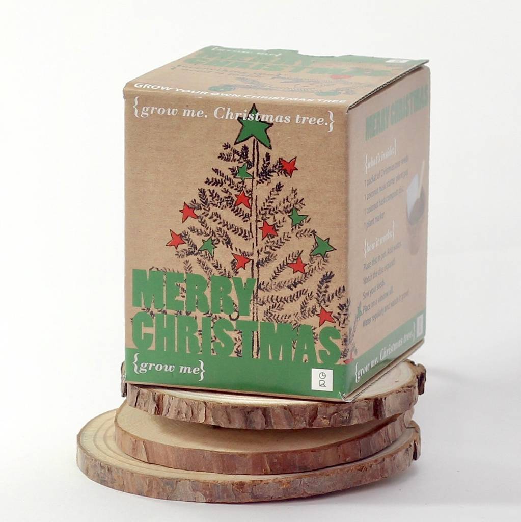 grow-your-own-christmas-tree-by-be-ecycle-notonthehighstreet