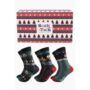 Festive Food And Drink Men's Bamboo Sock Gift Box, thumbnail 1 of 4