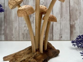 Assorted Wooden Mushroom Forest On Teak Root Wood, 10 of 12
