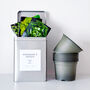 Personalised Garden Seed Storage Tin, thumbnail 1 of 12
