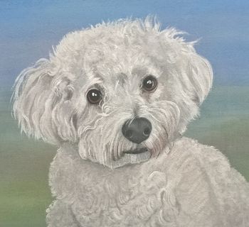 Hand Painted Personalised Pet Portrait, 9 of 12