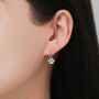 Sterling Silver Paw Print Drop Hook Earrings, thumbnail 7 of 11