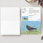 Cornish Chough Greeting Card, thumbnail 5 of 6