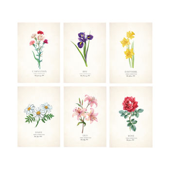 Personalised Wild Flower Birth Date Print, 3 of 5