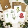 Christmas Botanical Note Card Set, thumbnail 1 of 5