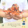 Children's Eco Activity Box: Terrific Tigers, thumbnail 5 of 11