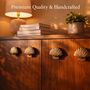 Ocean Inspired Brass Seashell Knob, thumbnail 7 of 8