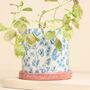 Blue Wildflower Print Planter, thumbnail 1 of 4