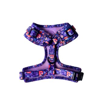 Ditsy Floral Dog Harness Bundle Collar And Lead Set, 6 of 12