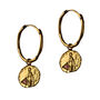 Aethra Gold Earrings, thumbnail 6 of 8