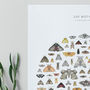 100 Moths Natural History Poster, thumbnail 3 of 5