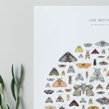 100 Moths Natural History Poster, 3 of 5