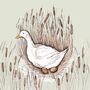 'Nesting Duck' Print, thumbnail 3 of 3