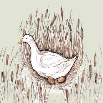 'Nesting Duck' Print, 3 of 3