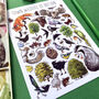 Town Wildlife Of Britain Watercolour Postcard, thumbnail 6 of 11