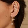 9ct Yellow Gold Polished Heart Micro Stud Earrings – 4mm, thumbnail 3 of 7