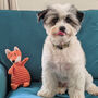 Corduroy Fox Super Cute Dog Toy, thumbnail 1 of 4
