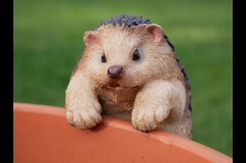 Indoor/Outdoor Detailed Hedgehog Pot Hanger, 2 of 4