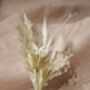 Boho Dried Flower Wedding Buttonholes, thumbnail 2 of 3