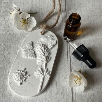 Ladybird And Butterflies Car Air Freshener Botanical Hanging Diffuser, 3 of 4
