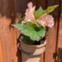 16cm Terracotta Flower Pot Planter With Metal Holder, thumbnail 4 of 5