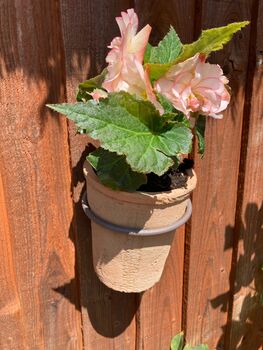 16cm Terracotta Flower Pot Planter With Metal Holder, 4 of 5