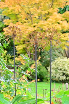 Rusty Metal Allium Garden Ornament, 3 of 7