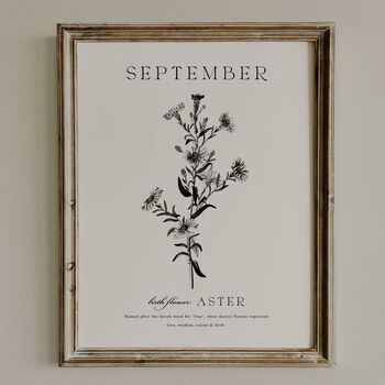 Birth Flower Wall Print 'Aster' For September, 8 of 12