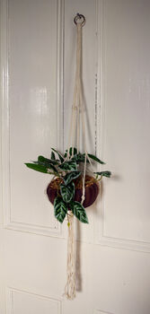 85cm Hanging Artificial Potted Pothos Plant, 2 of 3
