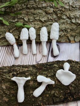 Porcelain Terrarium Fungi, 4 of 9
