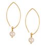 Gold Plated Or Sterling Silver Freshwater Drop Earrings, thumbnail 3 of 6